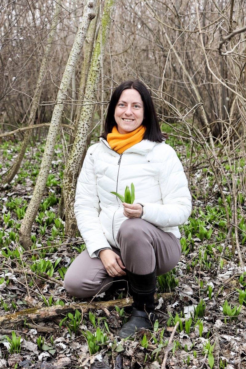 © Sabine Nußbaumer _ Fotograf Martin Nußbaumer Sabine beim Sammeln von frischem Bärlauch im Wald