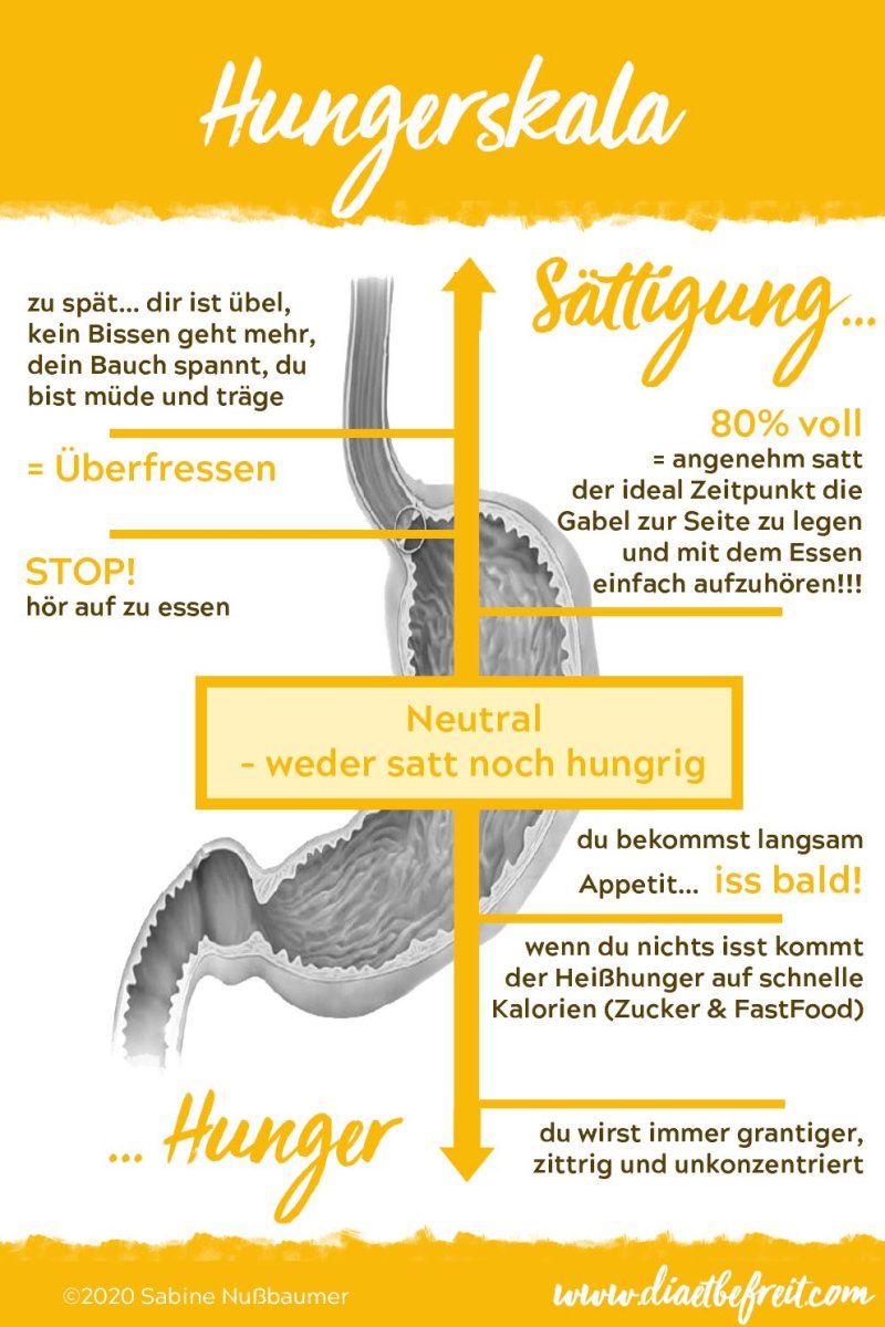 ©2020 Sabine Nußbaumer Visuelle Darstellung der Stadien zwischen ausgehungert bis überfressen. 80% satt - hör auf zu essen. Heißhungerphase usw.