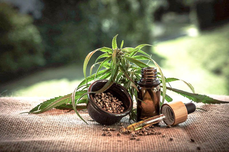 CC0 BY https:/pixabay.com/de/users/CBD-Infos-com-13065354 man sieht die Blätter einer Hanfpflanze, eine Schüssel voller Hanfsamen und ein kleines Fläschchen voll Hanföl