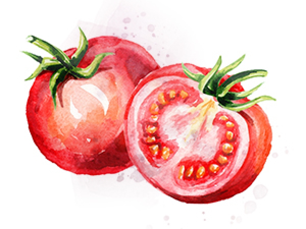 Paradeiser-Tomaten Tomaten rot aufgeschnitten
