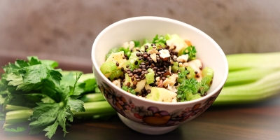 Staudensellerie-Linsen-Salat Schüssel mit fertigem Salat aus mit frischen Staudensellerie-Stangen, Äpfeln, Nüssen, Linsen und Honig-Limetten-Dressing