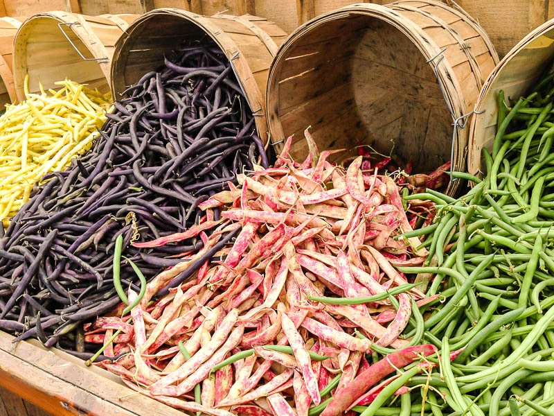 Superfood Hülsenfrüchte frische Hülsenfrüchte in großen Trögen in gelb, schwarz, rot und grün auf einem Gemüsemarkt