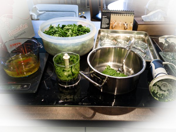 Rezept Bärlauchpesto Küche während Bärlauchpesto hergestellt wird, geschnipselter Bärlauch, Pürierstab, Behälter, Topf usw