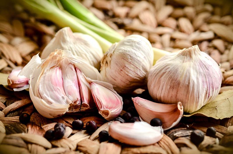 Superfood Knoblauch Knoblauchknollen und zehen mit etwas Grün noch oben dran